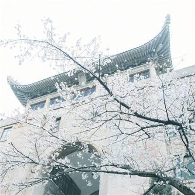 摩斯电码、AR技术……北京邮电大学录取通知书升级发布